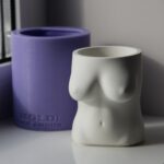 Жіночий торс