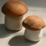 Білий гриб М