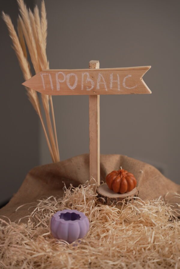 Гарбузик Прованс S