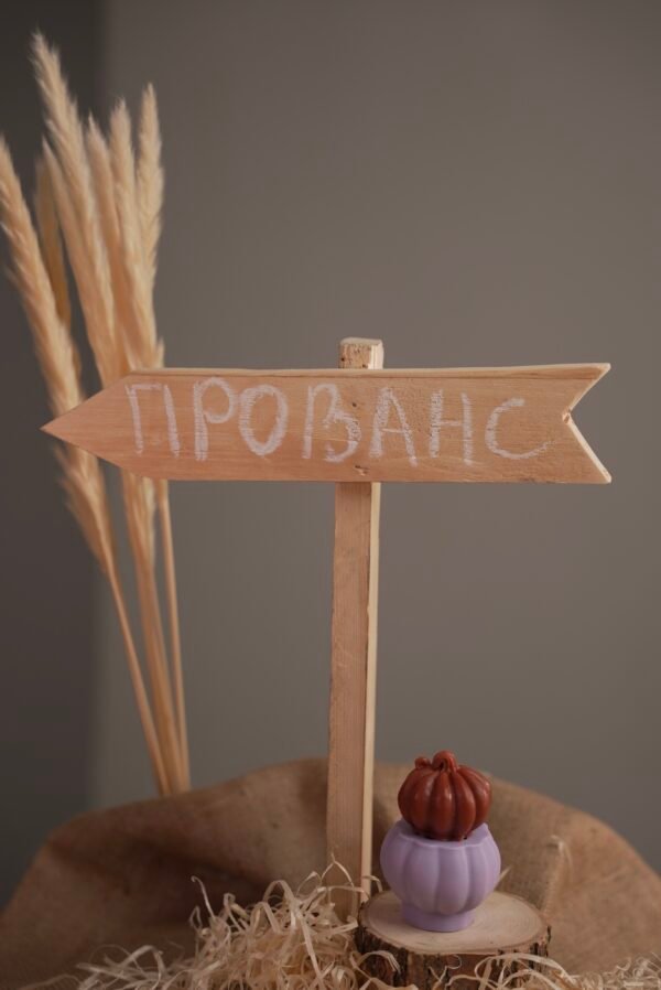 Pumpkin Provence S