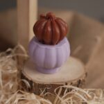 Гарбузик Прованс S