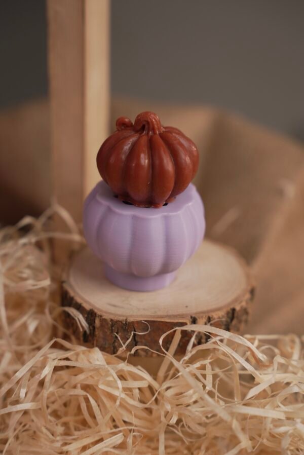 Pumpkin Provence S