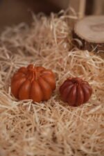 Pumpkin Provence S