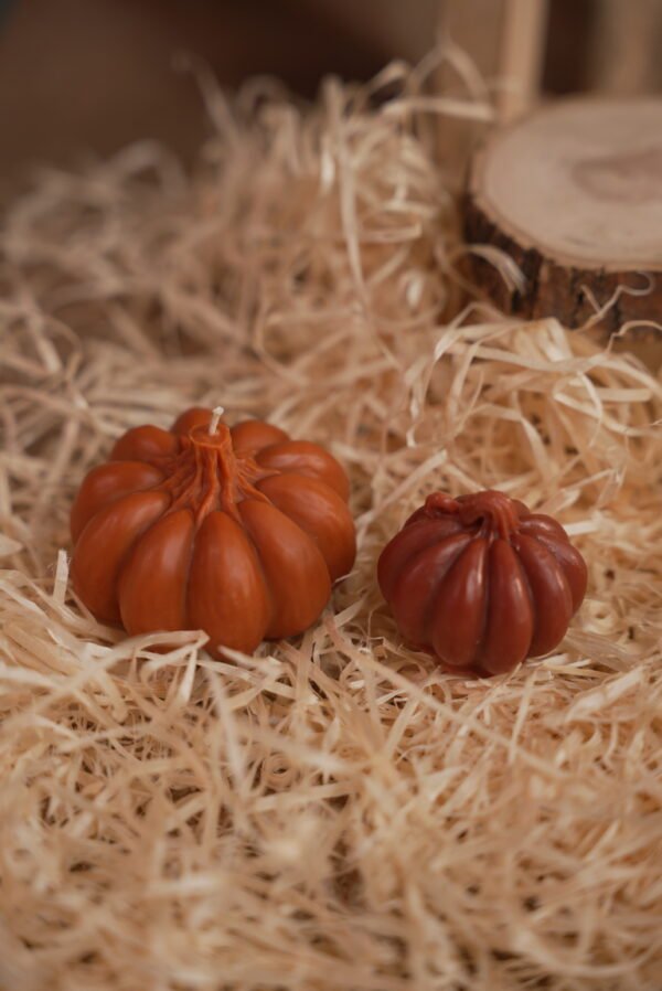 Pumpkin Provence S