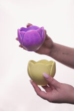 Тюльпан - Зображення 3