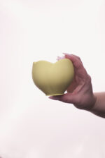 Тюльпан - Зображення 5