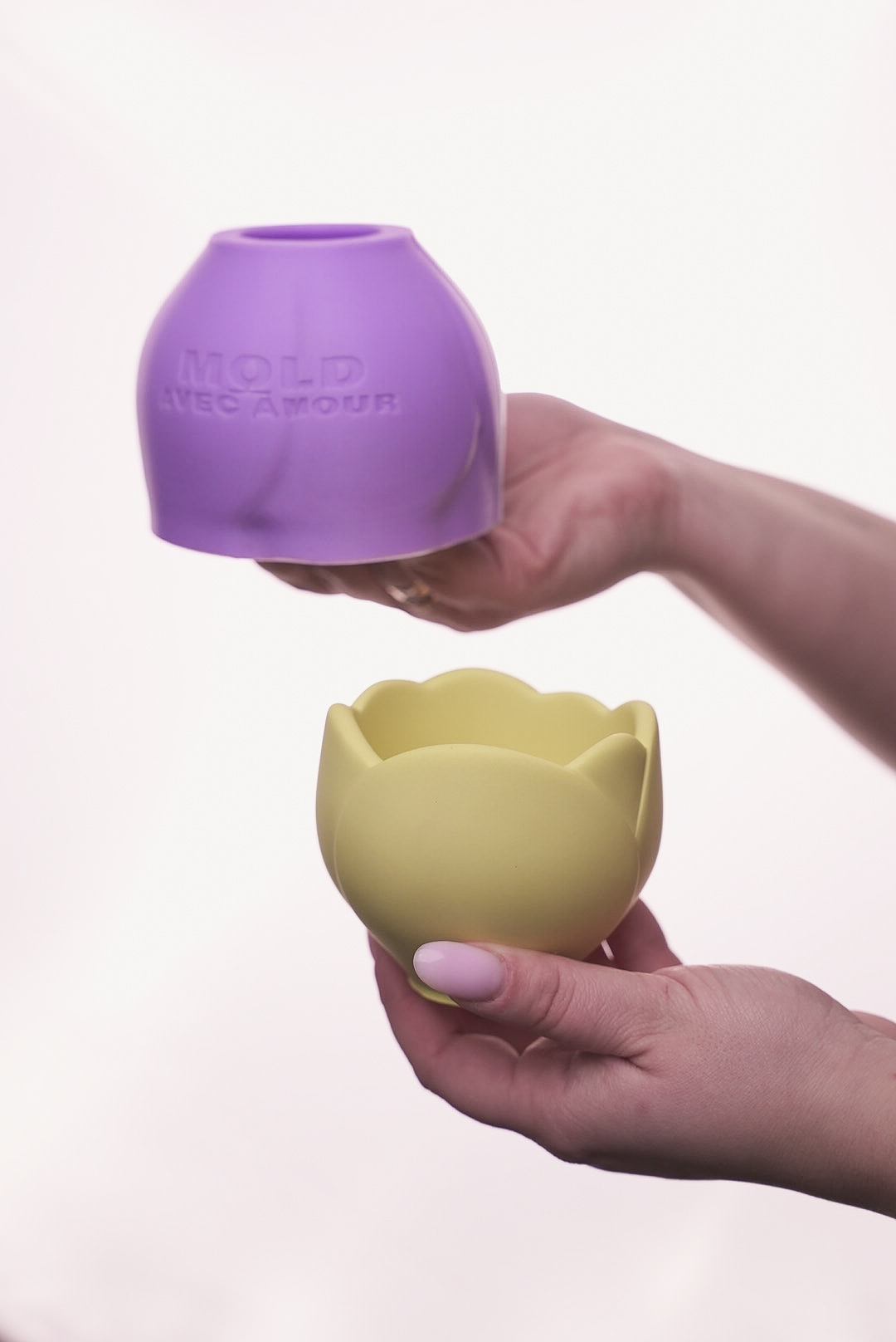 9acc1ffa-571d-4ed4-a5fa-317263e659aa Тюльпан - Зображення 1