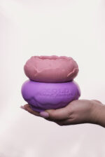 Півонія - Зображення 5