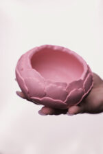 Півонія - Зображення 4