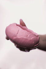 Півонія - Зображення 3