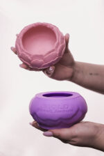 Півонія - Зображення 2