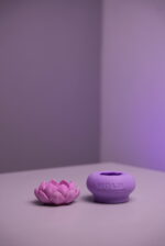 Чайна Лотос - Зображення 3