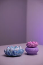 Чайна Лотос - Зображення 4