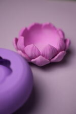 Чайна Лотос - Зображення 2