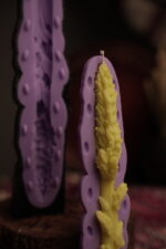 Пшениця S - Зображення 2