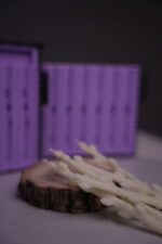 Бенто верби - Зображення 8