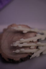 Бенто верби - Зображення 9