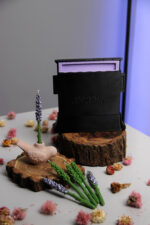 Бенто лаванда - Зображення 11